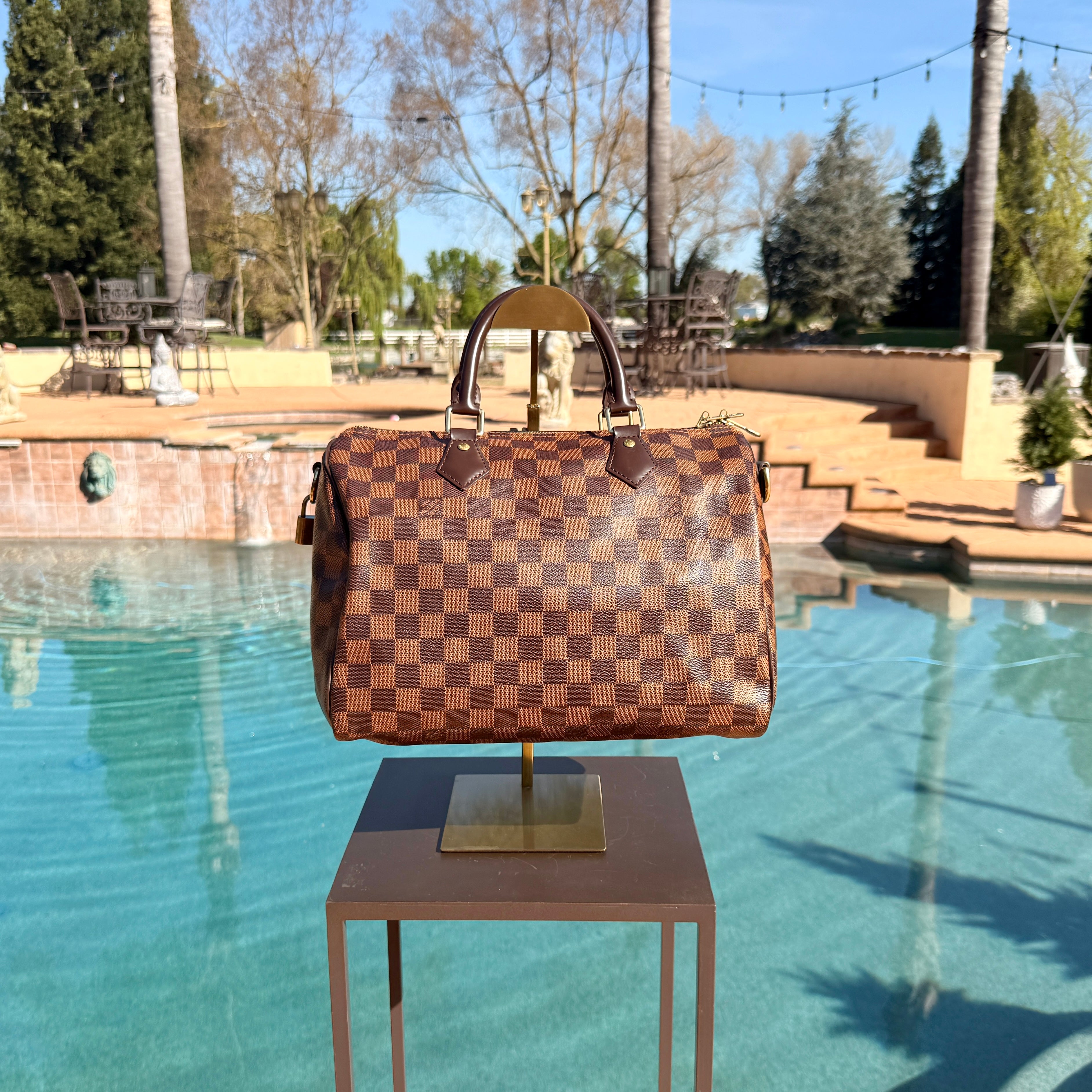 Louis Vuitton Damier Ebene Speedy 30