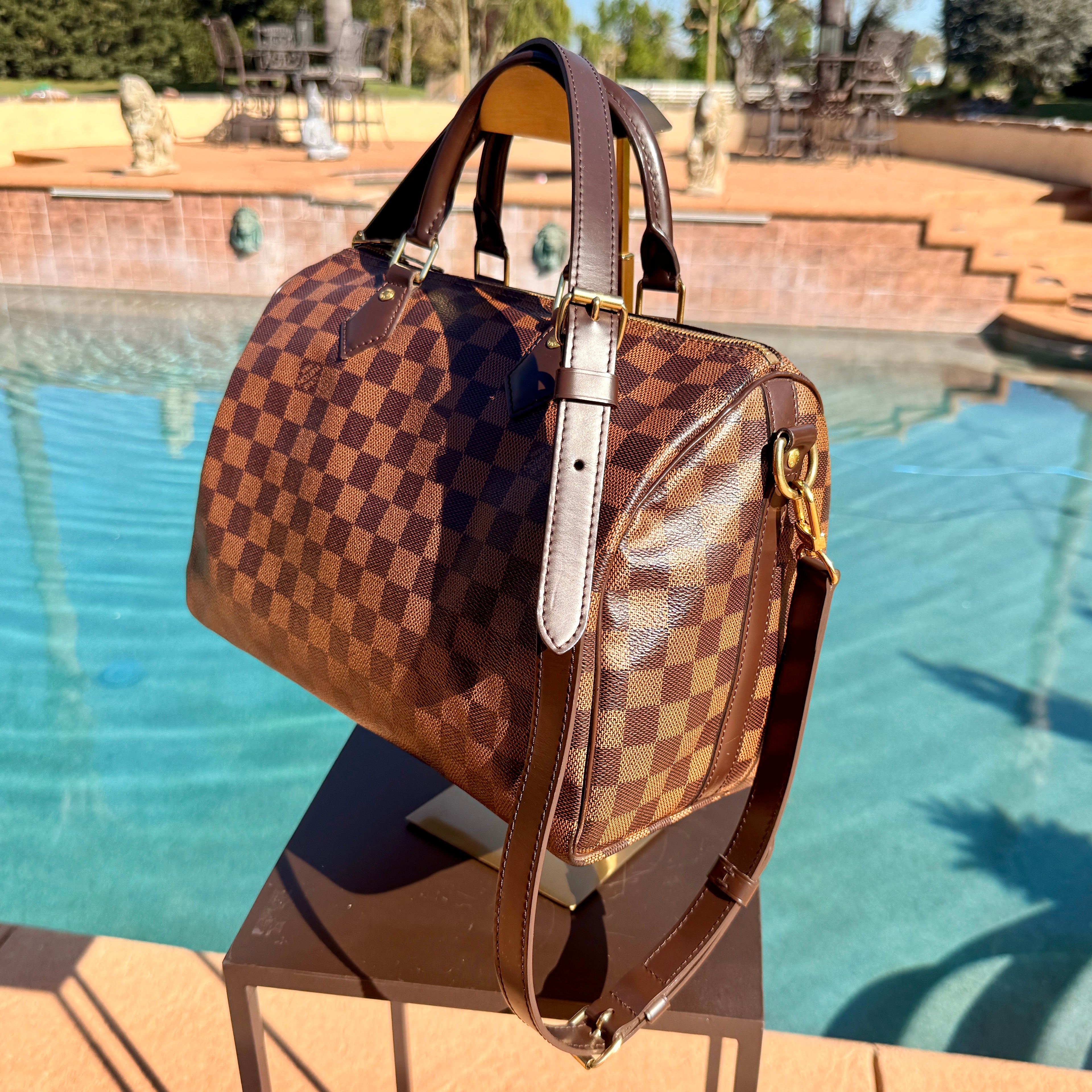 Louis Vuitton Damier Ebene Speedy 30