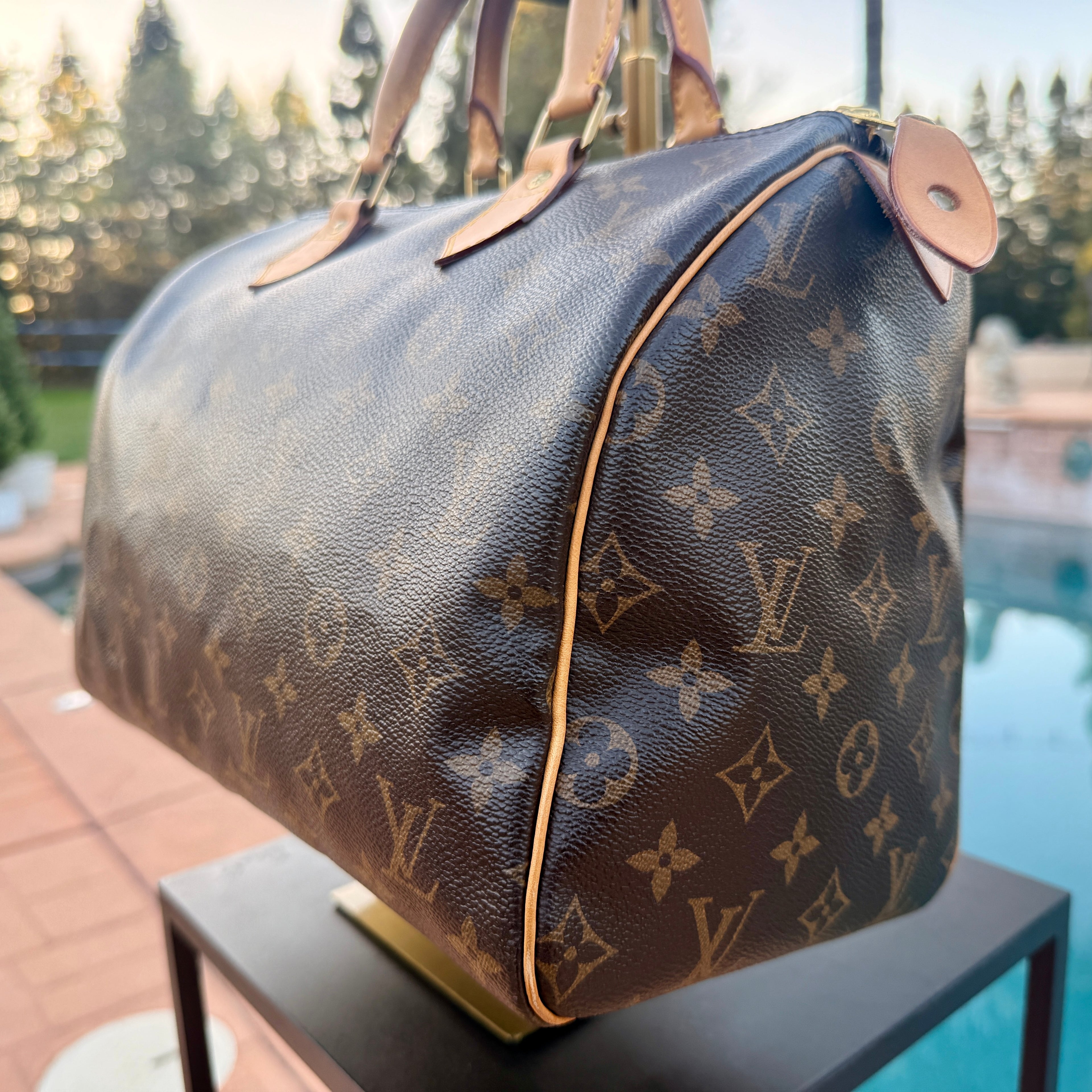 Louis Vuitton Monogram Speedy 30
