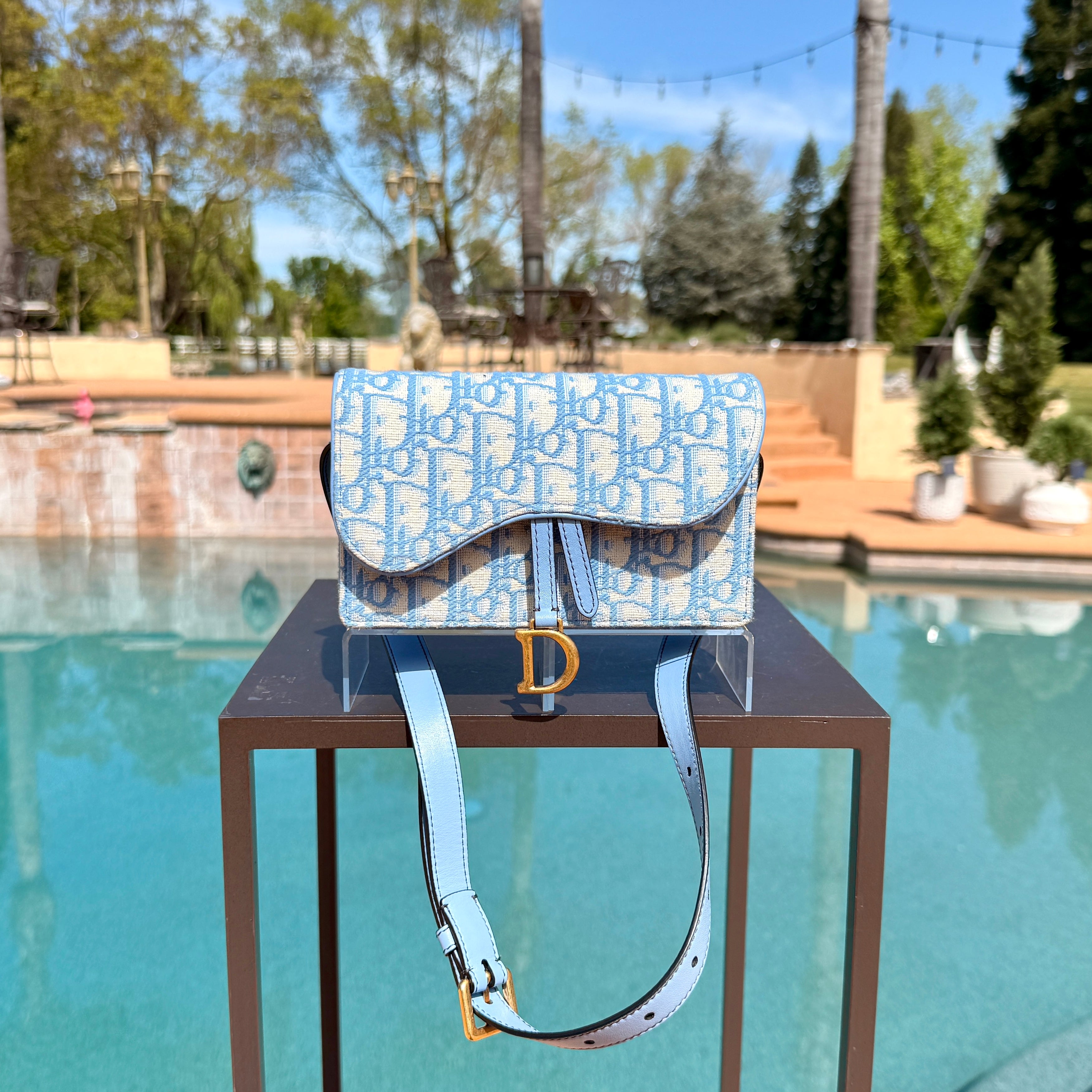 Christian Dior Belt Bag with Gold Hardware Mini